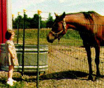 girl and horse